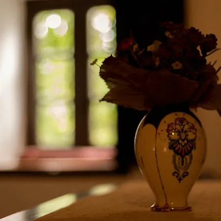 Casa Rustica Tatil Evi *